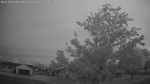 Web Cam Image - Thu, 06/11/2026 4:16am CDT