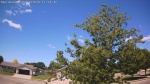Web Cam Image - Sun, 06/14/2026 10:56am CDT