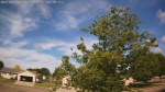 Web Cam Image - Thu, 06/25/2026 8:29am CDT