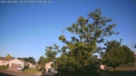 Web Cam Image - Tue, 07/01/2025 12:17am CDT