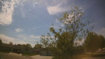 Web Cam Image - Sat, 05/16/2026 2:59pm CDT