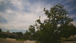 Web Cam Image - Tue, 06/09/2026 2:02pm CDT