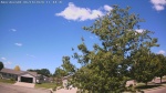 Web Cam Image - Sun, 06/14/2026 10:52am CDT
