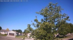 Web Cam Image - Sat, 06/20/2026 8:23am CDT
