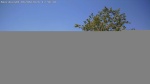 Web Cam Image - Sat, 06/06/2026 12:10pm CDT