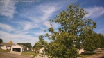 Web Cam Image - Thu, 06/25/2026 8:25am CDT