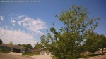 Web Cam Image - Tue, 05/26/2026 11:22am CDT