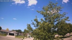 Web Cam Image - Sun, 06/14/2026 10:49am CDT