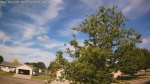 Web Cam Image - Thu, 06/25/2026 8:23am CDT
