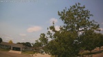 Web Cam Image - Sun, 06/28/2026 11:28am CDT