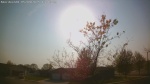 Web Cam Image - Fri, 05/09/2025 3:25pm CDT