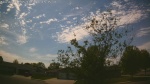 Web Cam Image - Sat, 05/16/2026 2:53pm CDT