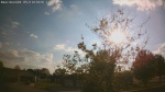 Web Cam Image - Tue, 05/19/2026 6:53pm CDT