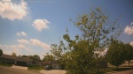 Web Cam Image - Sat, 05/23/2026 1:44pm CDT