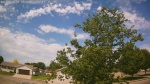Web Cam Image - Thu, 06/04/2026 10:29am CDT