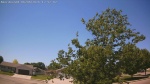 Web Cam Image - Sat, 06/06/2026 12:07pm CDT