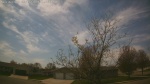 Web Cam Image - Mon, 05/11/2026 1:58pm CDT