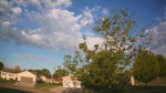 Web Cam Image - Sun, 05/24/2026 6:20am CDT