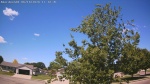 Web Cam Image - Sun, 06/14/2026 10:44am CDT