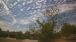 Web Cam Image - Sat, 05/16/2026 2:49pm CDT