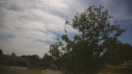 Web Cam Image - Mon, 06/01/2026 4:05pm CDT