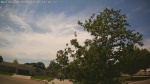 Web Cam Image - Tue, 06/09/2026 1:52pm CDT
