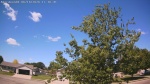 Web Cam Image - Sun, 06/14/2026 10:43am CDT