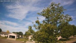 Web Cam Image - Thu, 06/25/2026 8:17am CDT