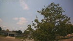Web Cam Image - Sun, 06/28/2026 11:22am CDT