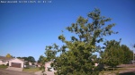 Web Cam Image - Tue, 07/01/2025 2:11am CDT
