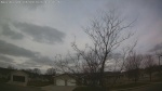 Web Cam Image - Thu, 04/09/2026 8:44am CDT