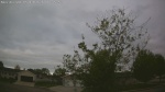 Web Cam Image - Tue, 05/19/2026 7:34am CDT
