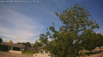 Web Cam Image - Wed, 06/03/2026 11:47am CDT