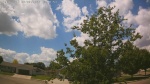 Web Cam Image - Fri, 06/05/2026 12:40pm CDT