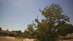 Web Cam Image - Sat, 06/06/2026 2:38pm CDT