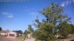 Web Cam Image - Fri, 06/12/2026 8:37am CDT