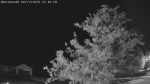 Web Cam Image - Fri, 06/12/2026 10:31pm CDT