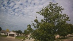 Web Cam Image - Thu, 06/18/2026 9:05am CDT
