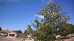Web Cam Image - Fri, 06/19/2026 9:52am CDT