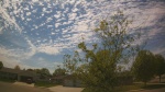 Web Cam Image - Sat, 05/16/2026 2:47pm CDT