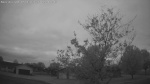Web Cam Image - Mon, 05/18/2026 4:53am CDT