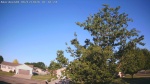 Web Cam Image - Fri, 06/12/2026 6:31am CDT