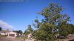 Web Cam Image - Fri, 06/19/2026 7:46am CDT