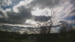 Web Cam Image - Mon, 05/04/2026 4:47pm CDT