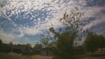 Web Cam Image - Sat, 05/16/2026 2:46pm CDT