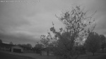 Web Cam Image - Mon, 05/18/2026 4:52am CDT