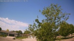 Web Cam Image - Tue, 05/26/2026 11:13am CDT