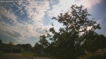 Web Cam Image - Thu, 06/04/2026 5:46pm CDT