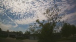 Web Cam Image - Sat, 05/16/2026 2:43pm CDT