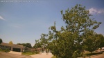 Web Cam Image - Tue, 06/02/2026 11:58am CDT